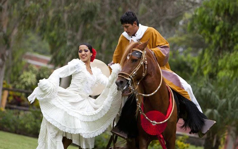 Pachacamac + Peruvian Paso Horses + Lunch with Joseph Guevara